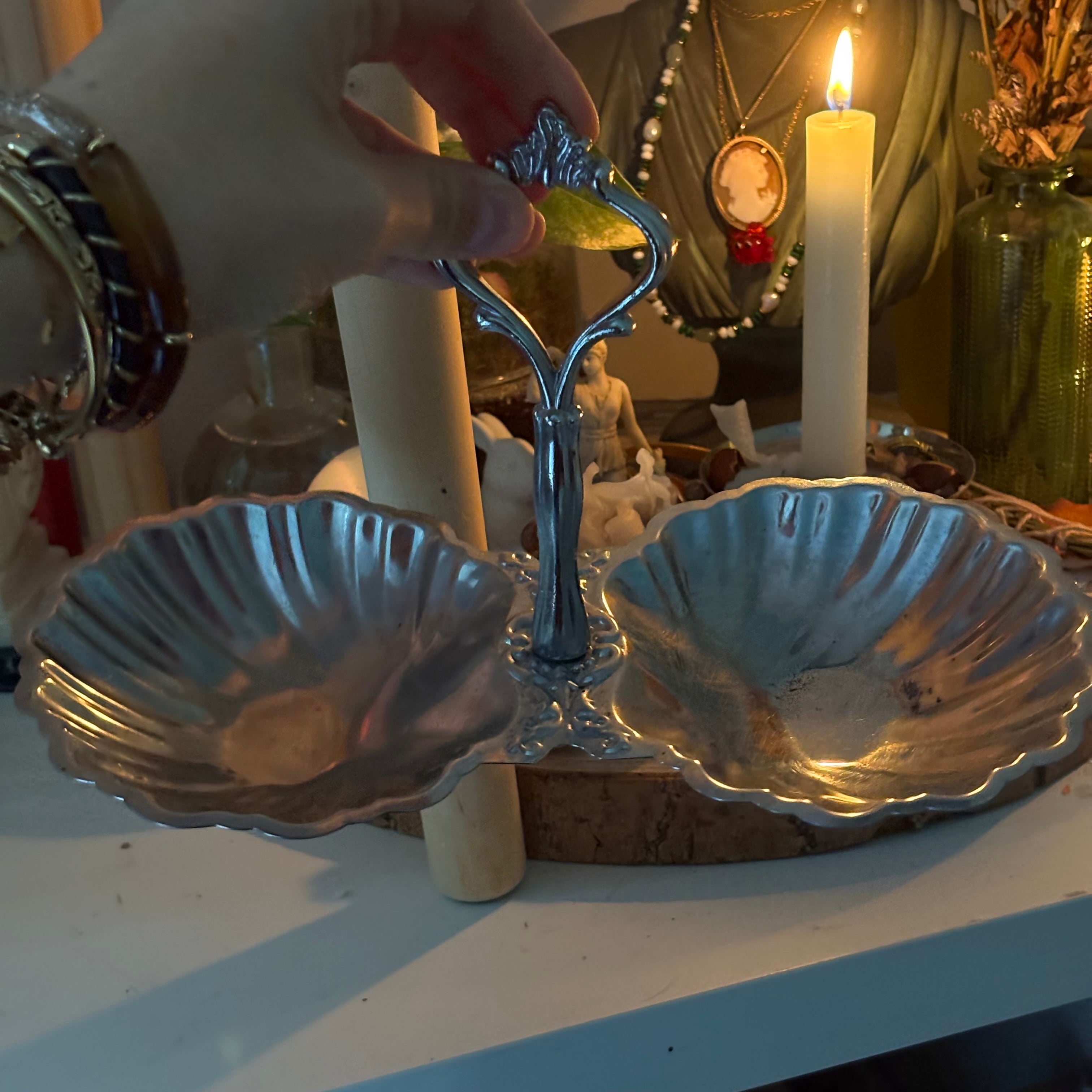 Double bol coquillage