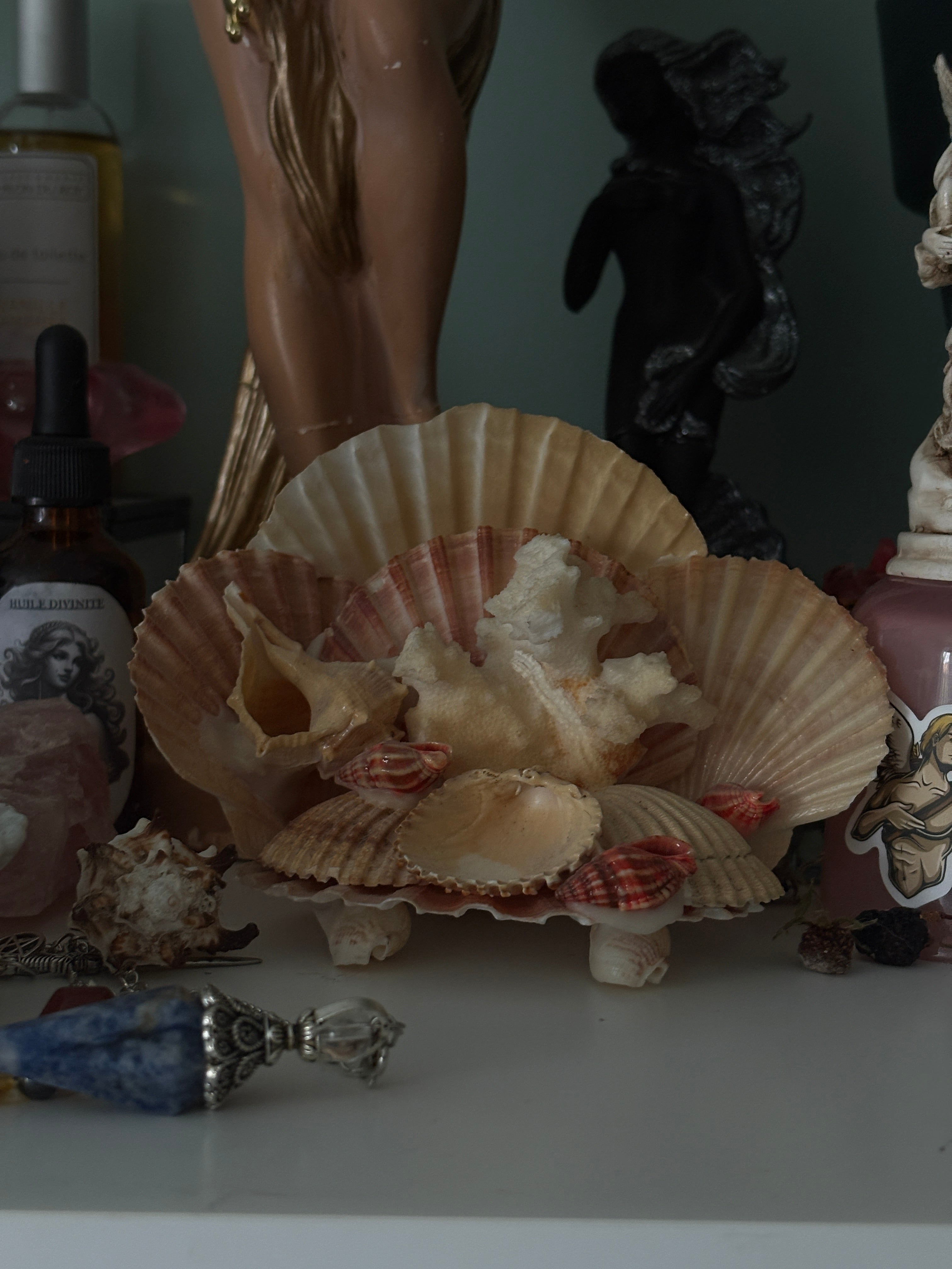 Structure en coquillage